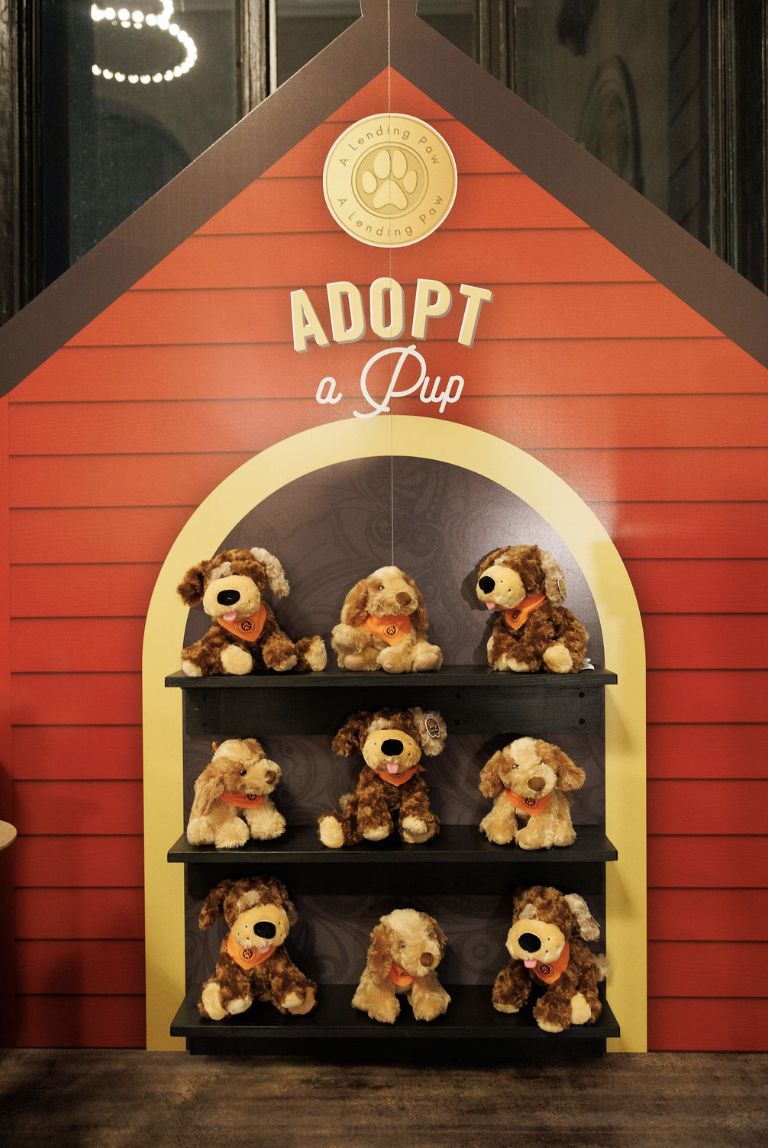 Adopt a pup display