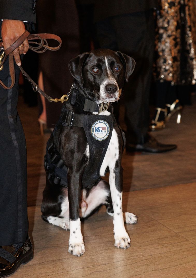 Service dog at the gala